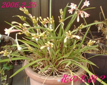 f0002750_12585092.jpg