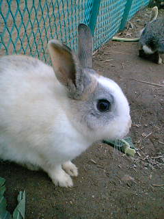 c0026594_22163746.jpg