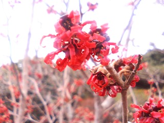 c0048701_06715.jpg
