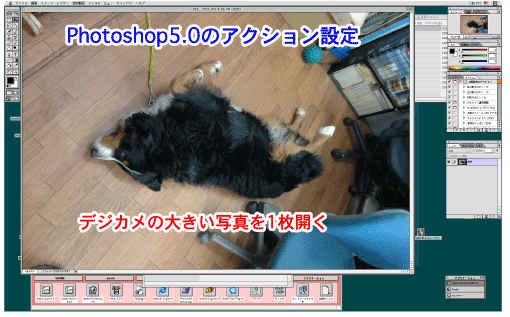 c0039313_2145187.gif