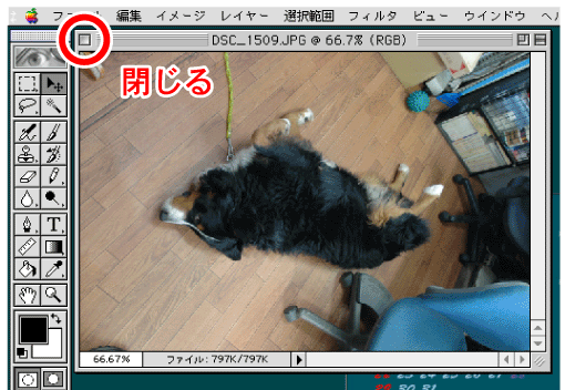 c0039313_22132255.gif