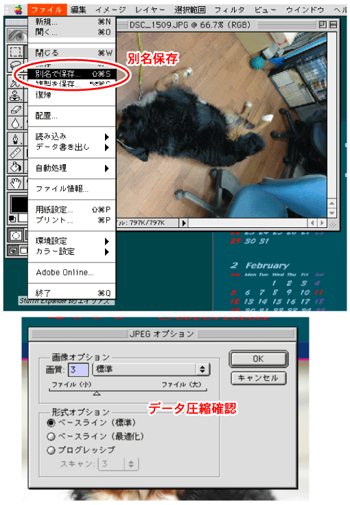 c0039313_2221076.gif