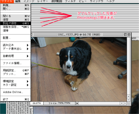 c0039313_2224872.gif