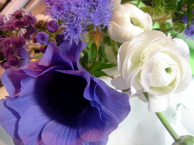 c0003723_17013100.jpg