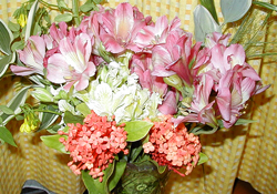 f0038336_825940.jpg