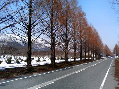 c0008243_69563.jpg
