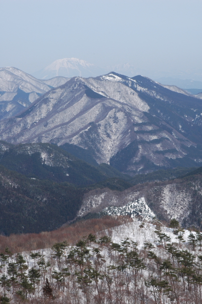 県民の森　その２　毛無山_a0041073_18284011.jpg