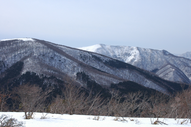 県民の森　その２　毛無山_a0041073_18333446.jpg