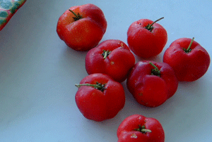 f0032481_16292183.gif