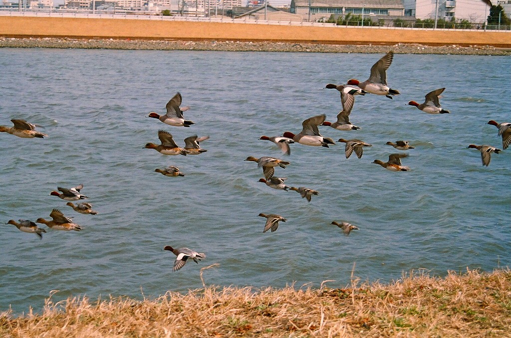 a0034419_1318276.jpg