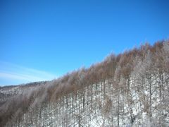 b0042334_21395432.jpg