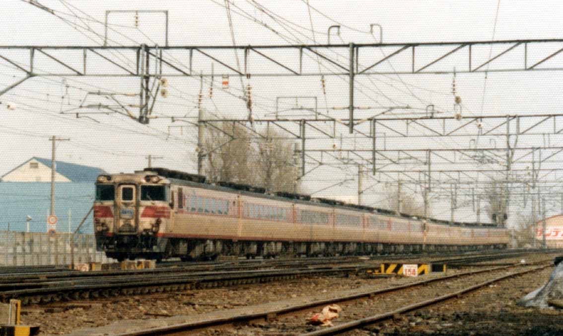 おおぞら　北斗　鉄道看板 普通列車0本の特急街道を駆け抜ける】特急おおぞら5号乗車記(札幌11