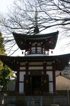 神妙椋樹山　　大聖勝軍寺_a0045381_18561365.jpg