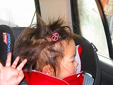 e0032092_9861.jpg