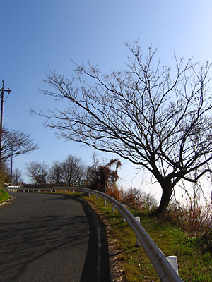 c0060593_21431122.jpg
