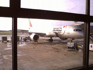 d0038319_92193.gif