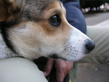 e0071225_04443.jpg