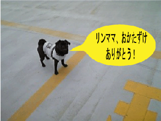 f0014371_149599.gif