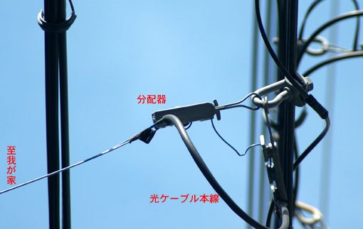 b0057679_10405368.jpg
