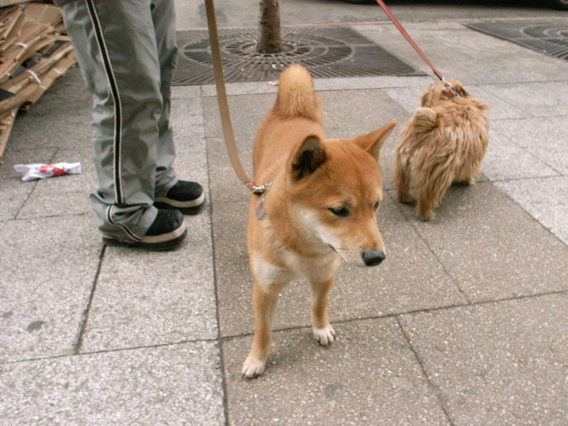 b0001284_029698.jpg