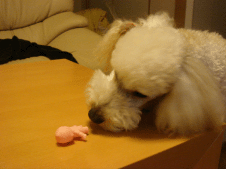 c0065885_21435649.gif