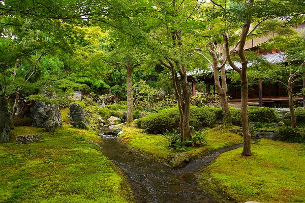 しょうざん庭園_e0051888_11372950.jpg