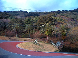伊豆大島一周練習会_a0036808_0435135.jpg