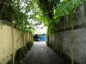 d0038319_8551837.gif
