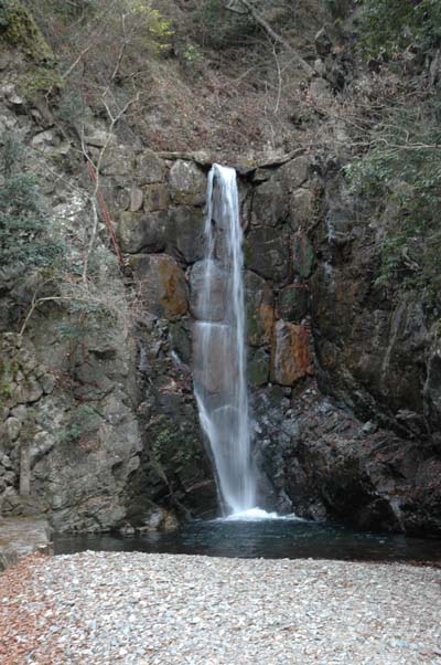 c0059521_8223337.jpg