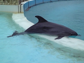 水族館_b0043126_1622141.jpg