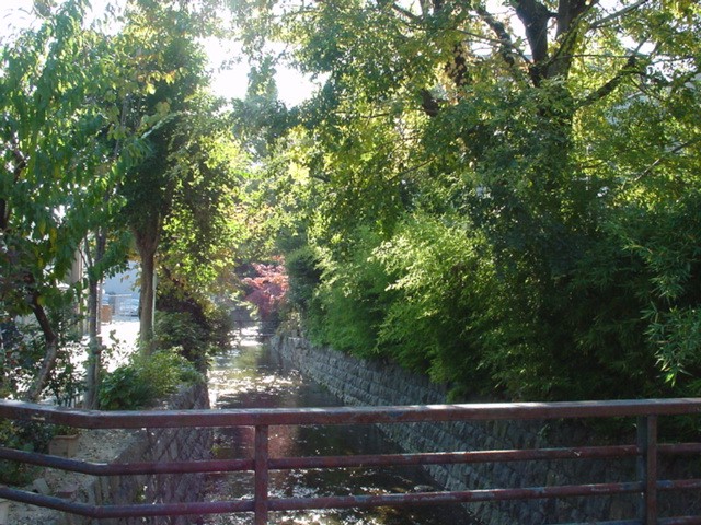 d0004627_15314079.jpg