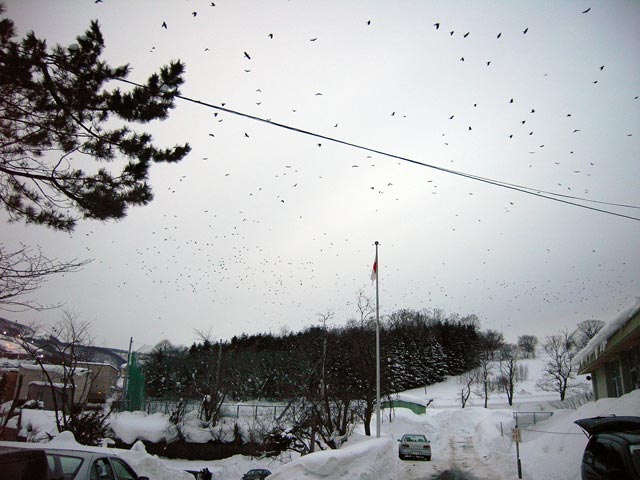 e0011161_16514027.jpg