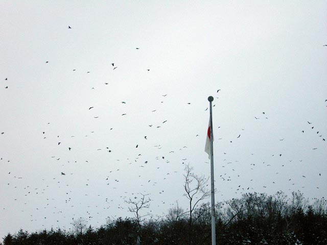 e0011161_16521949.jpg