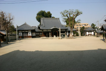 a0045381_2072279.jpg
