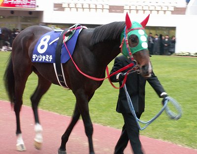 デンシャミチ、骨折（写真０５’朝日杯ＦＳ－その１２－）_b0015386_1425599.jpg