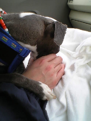 c0003217_057399.jpg