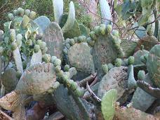 e0002020_10334858.jpg