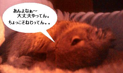 初、病院。_f0068932_22162358.jpg