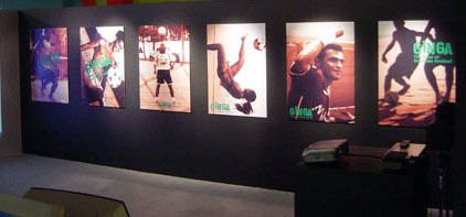 「domingoとGiNGA −ふたつのブラジル」展開催中！_f0077235_2273786.jpg