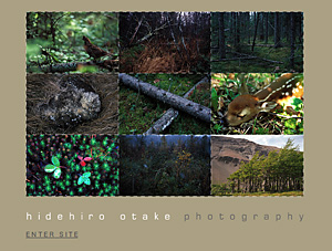 Hidehiro Otake Photography（t）_d0019441_114139.jpg