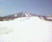 a0056659_17351841.jpg
