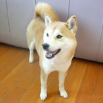 珊瑚、、新たなる目覚め!?_b0057675_21231320.jpg
