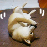 珊瑚、、新たなる目覚め!?_b0057675_21235568.jpg