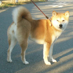 珊瑚、、新たなる目覚め!?_b0057675_2130019.jpg