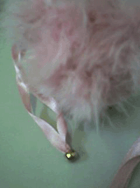 d0038319_94255100.gif