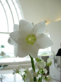 f0041447_026840.jpg