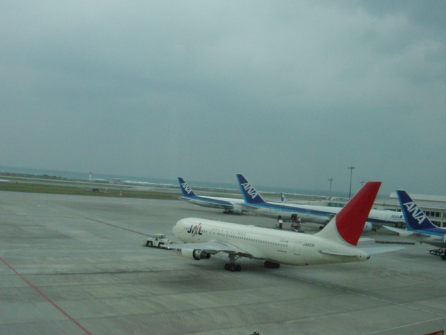 f0036857_1421592.jpg