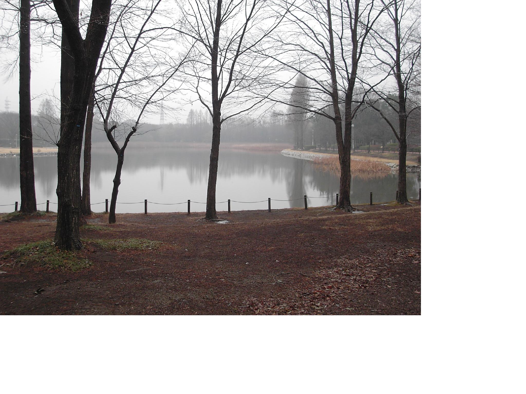 f0000262_13362590.jpg
