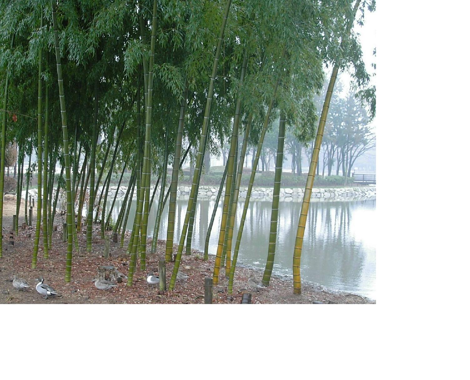 f0000262_14113759.jpg