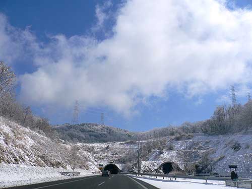 c0001491_0162680.jpg